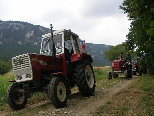 kp7307872.jpg