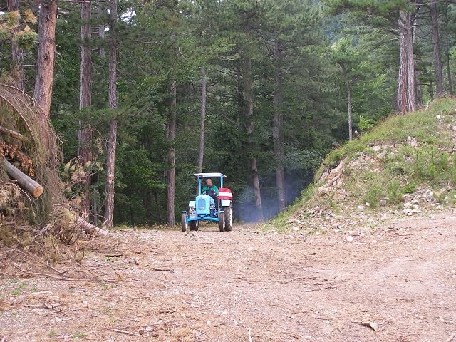 kp7307973.jpg