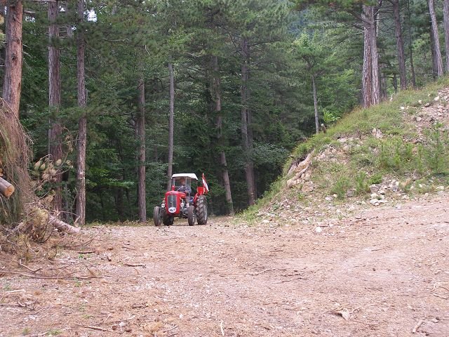 kp7307974.jpg