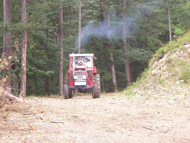 kp7307992.jpg